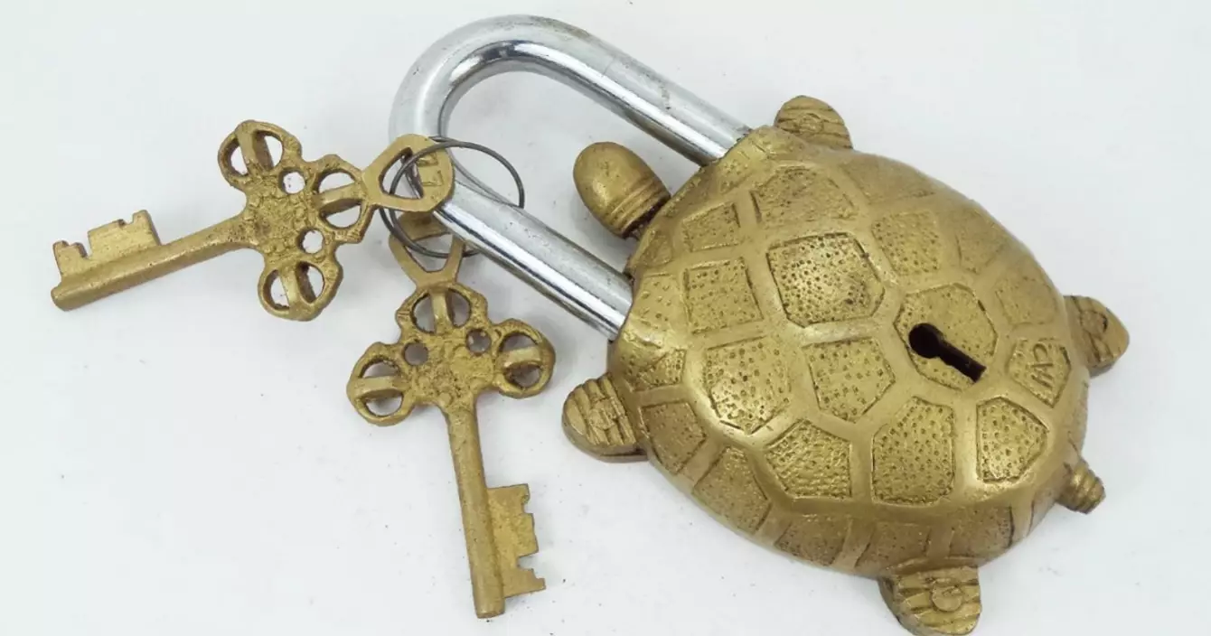 cadenas-tortue