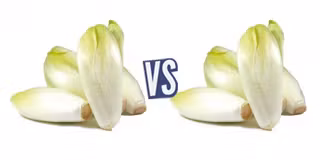 battle-349969-1421321107