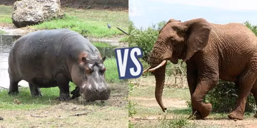 battle-355328-1423526630