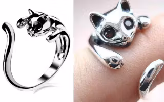 bague-chat
