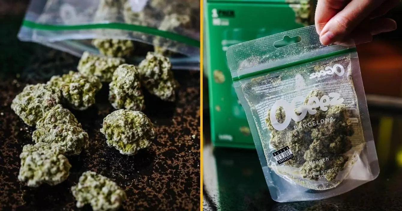 pochon-chocolats-ressemblent-weed