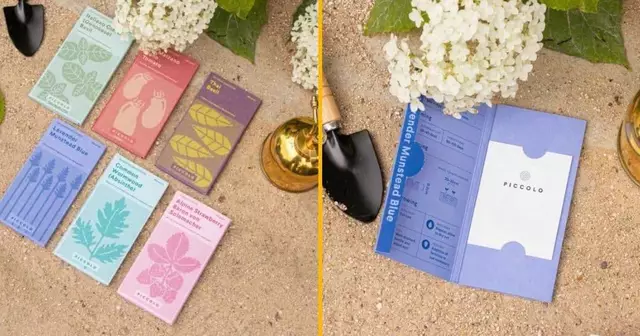 sachets-graines-faire-pousser