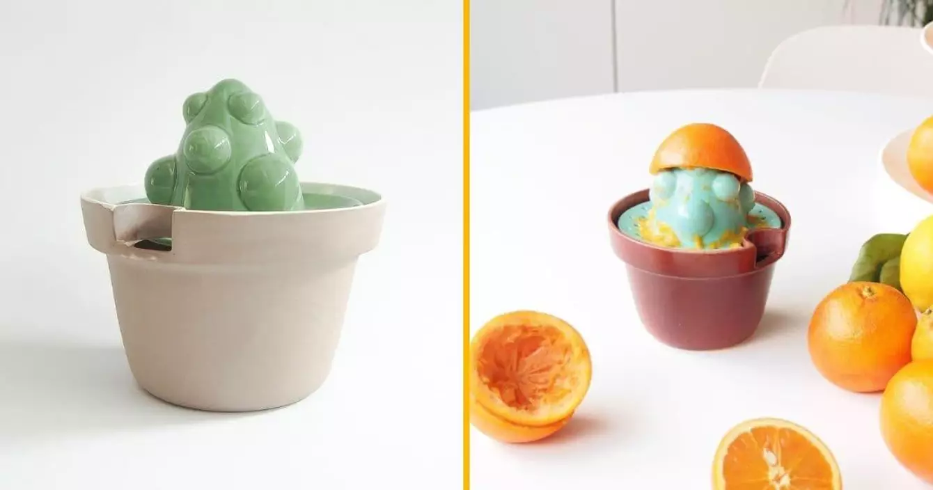 presse-agrumes-cactus