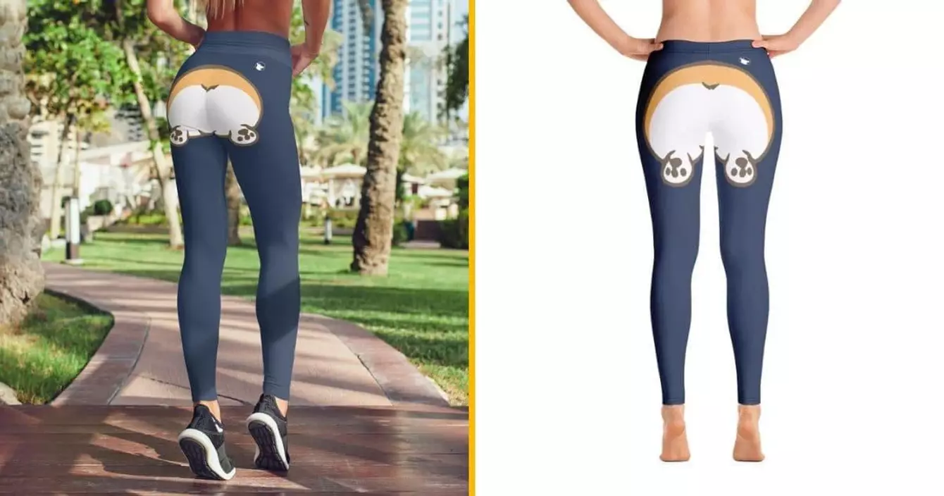 legging-cul-corgi-chien
