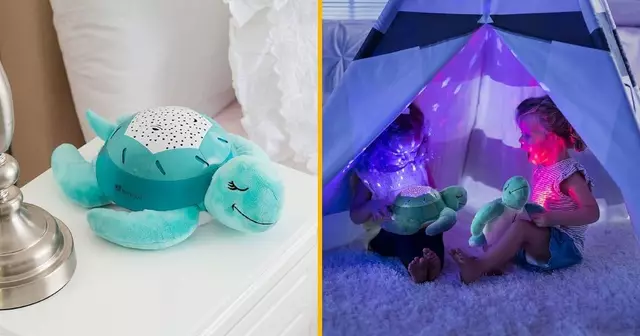 une-veilleuse-chat-mutlicolore