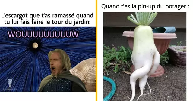 top memes jardin
