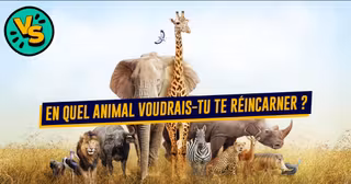 Une Battle Animal Reincarnation.jpg