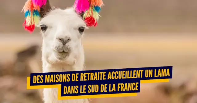 TOP MAISONS RETRAITE