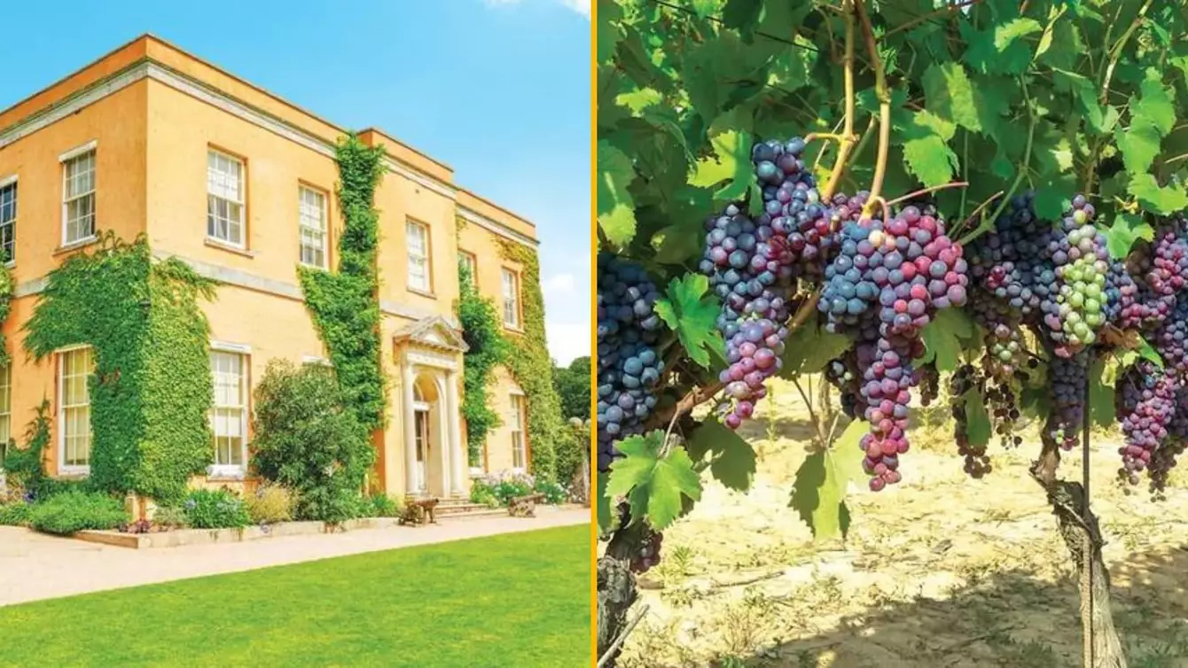 coffret-smartbox-sejour-decouverte-terroirs-viticoles