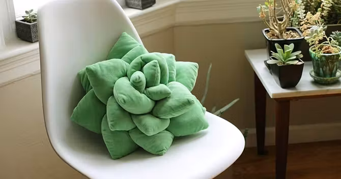 coussin-succulente