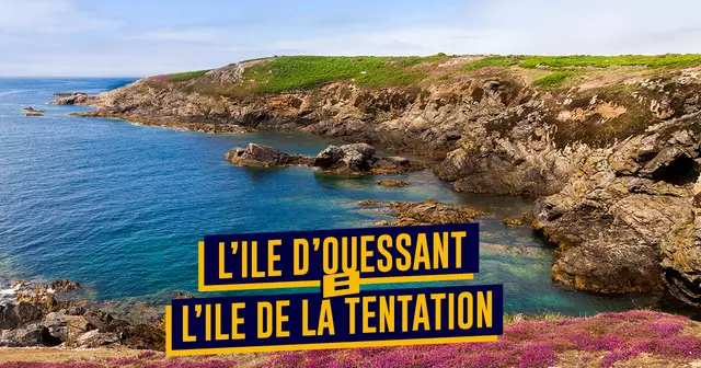 UNE_TOP_ouessant