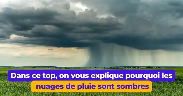nuage-pluie