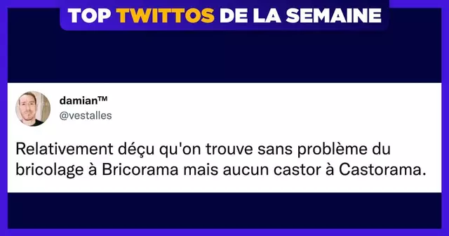 une-twittos-vestalles