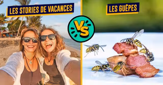 Battle Trucs Relou Ete.jpg