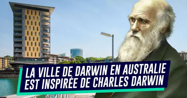 UNE_TOP_DARWIN