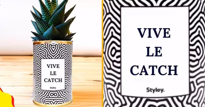 cactus personnalisable vive le catch