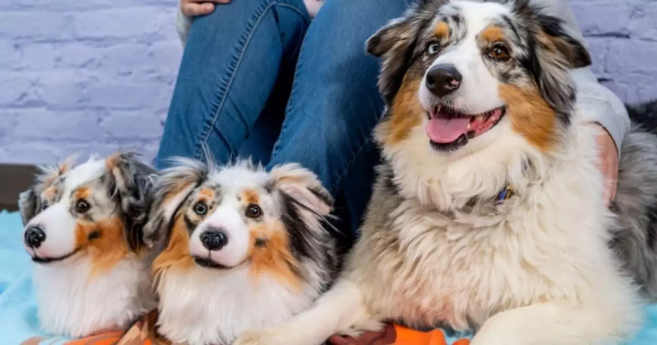 chaussons-animal-personnalisable