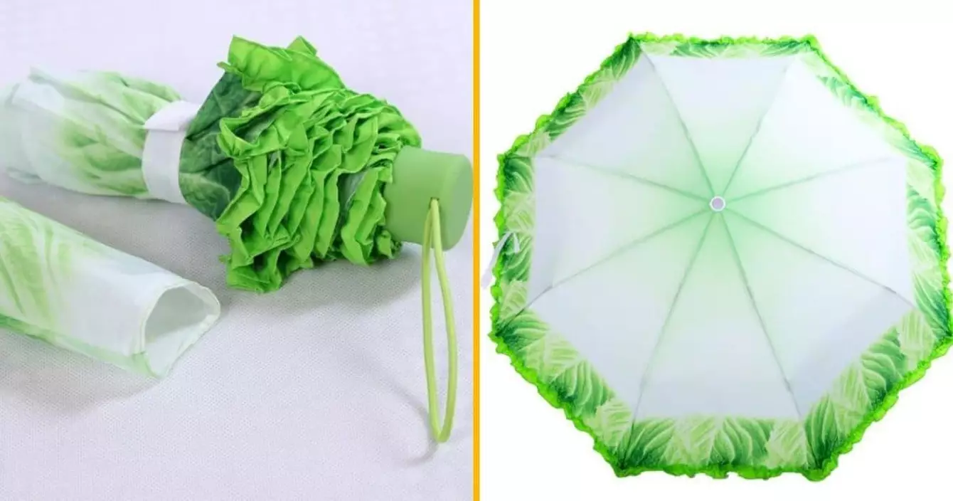 parapluie-salade
