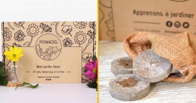 coffret-jardin-fleuri-plantes