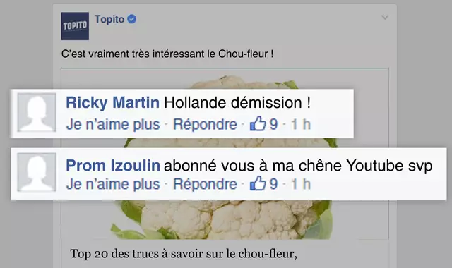 une_hollande-demission (2)