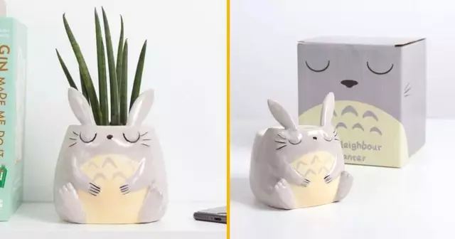 cache-pot-totoro