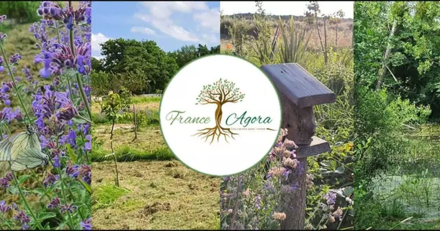 foret-comestible-parrainer-heberger-insectes-butineurs