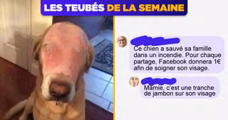 UNE_TOPITO_teubes_mamie-chien-FB