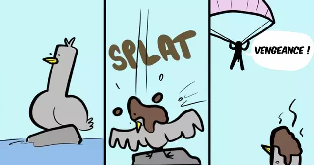 UNE_TOPITO_illus-2-oiseau-mer-vengeance