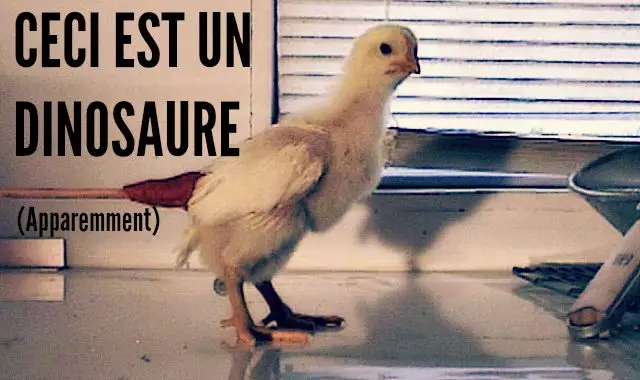 ui-55fb866411fe79.62331381