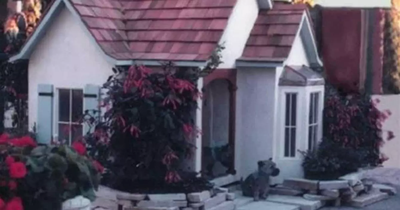 une-vraie-maison-pour-chien