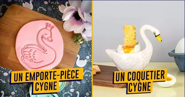 UNE-SHOPPING-CADEAU-CYGNE