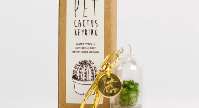 pet-cactus-keyring_24272