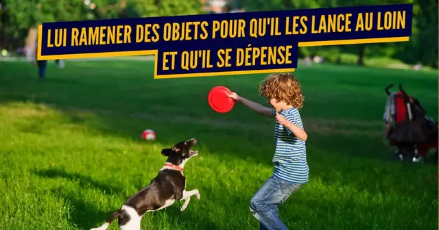 chien jeu humain (1)