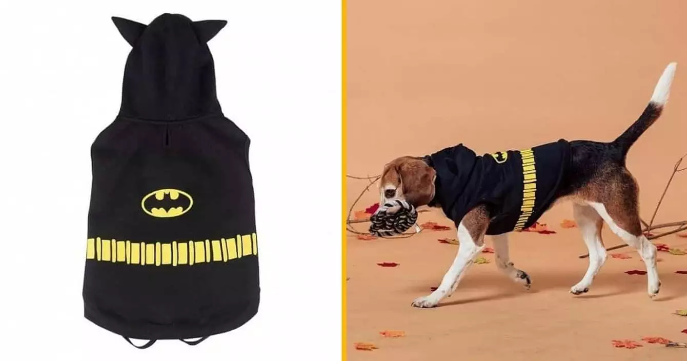 hoodie-chien-batman