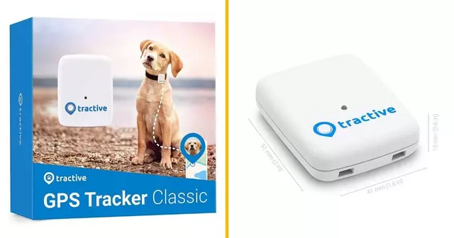 collier-gps-chiens-chats