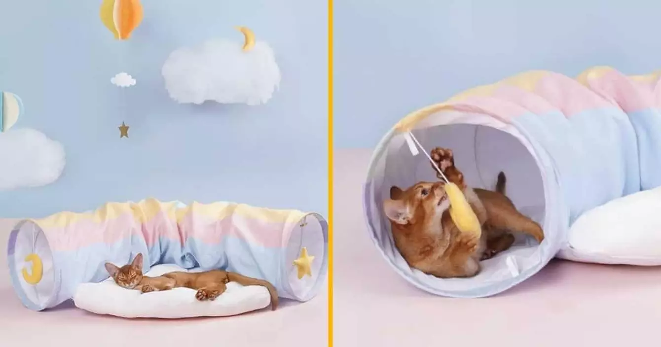 cabane-camion-pompier-chat