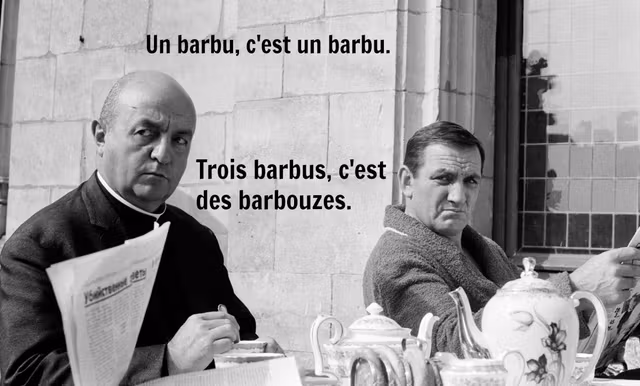 les barbouzes