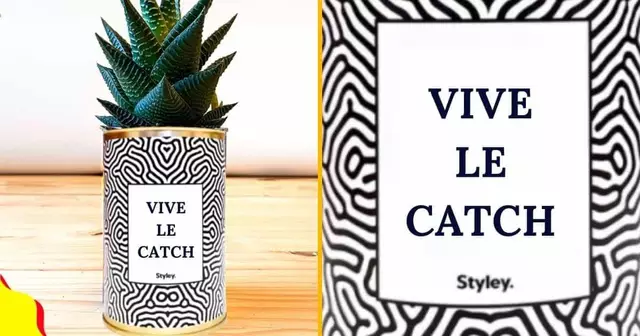 cactus personnalisable vive le catch