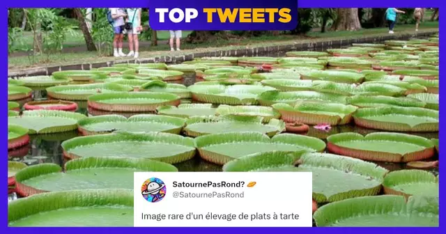 TweetsSatournePasRond