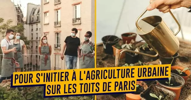 UNE-SHOPPING-AGRICUTLURE-URBAINE