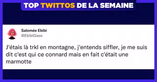 une-top-twittos-ebibi