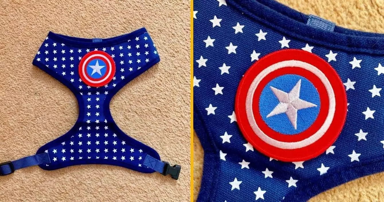 harnais-chien-captain-america