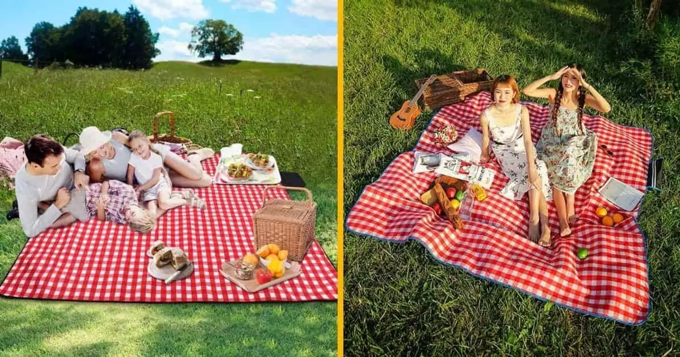 nappe-pique-nique-peau-ours-brigitte-bardot