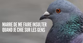 1026833d-ede1-4aee-8a66-239eafc89ab8