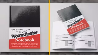 CARNET-ANTI-PROCASTINATION