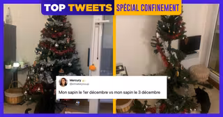 UNE_TOP_TWEETS_36