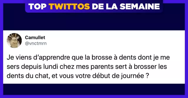 UNE_TOP_TWEETS_CAMULLET