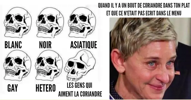 UNE_TOP_MEMES_CORIANDRE