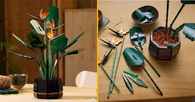 oiseau-paradis-lego-plante