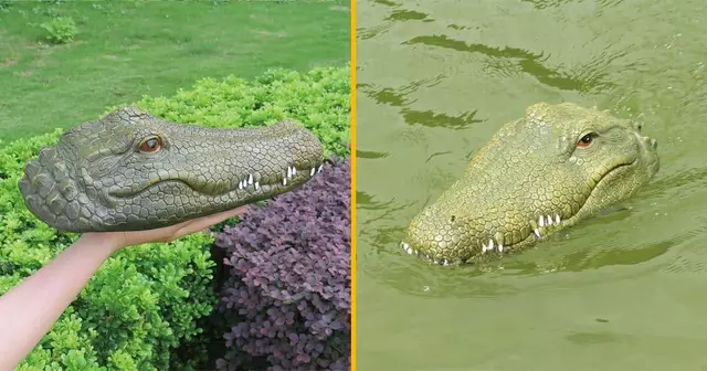 tete-crocodile-telecommandee-bonnes-blagues